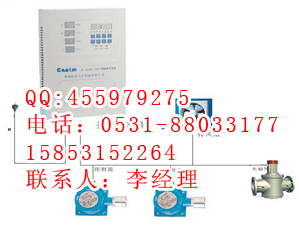 CA-2100可燃?xì)怏w報(bào)警器