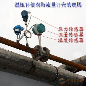 文登電廠專用蒸汽流量計(jì)